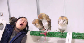 習慣有妮主播照片
