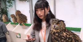 習慣有妮主播照片