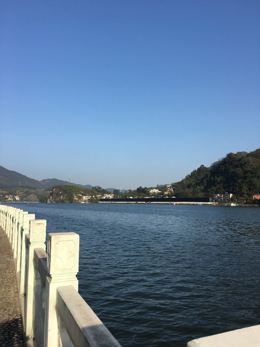 风中的风铃的图片