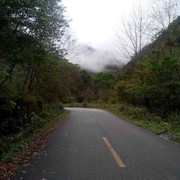 燕阳高照t