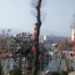 等有缘人gl