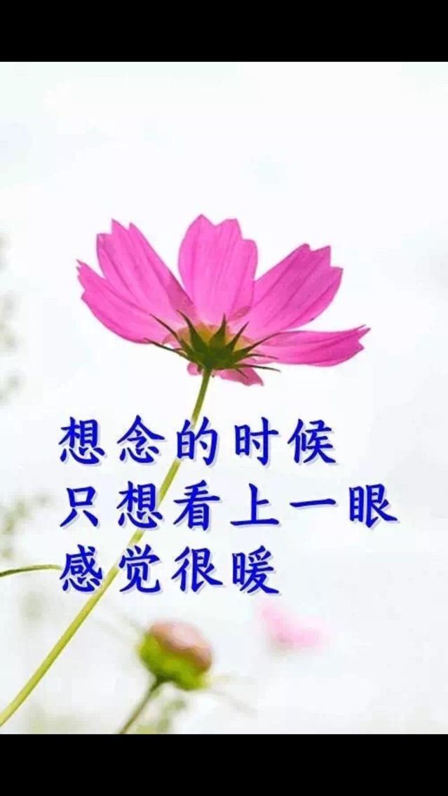 一路上有陈且行且珍惜的主播照片