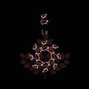 ヤ吕永鑫ゞ