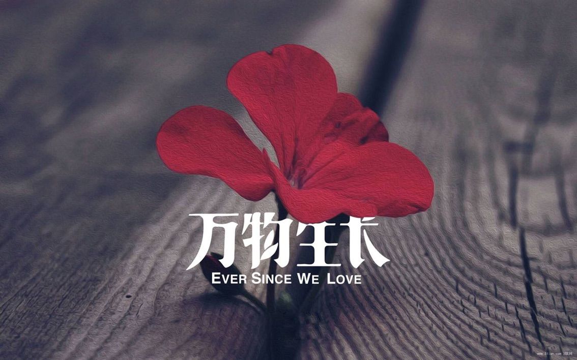 ❤66的主播照片