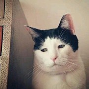 土豆✔@