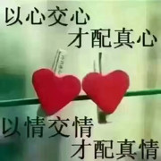 铁观音红尘