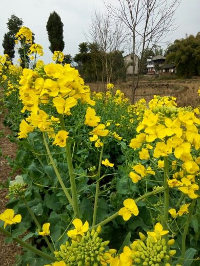 飞哥mA的主播照片