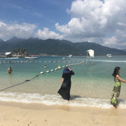 黄鹤楼书法海报