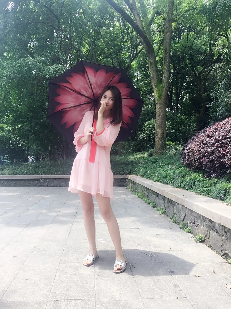 风中的风铃的图片