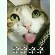 喵喵就是喵喵呀