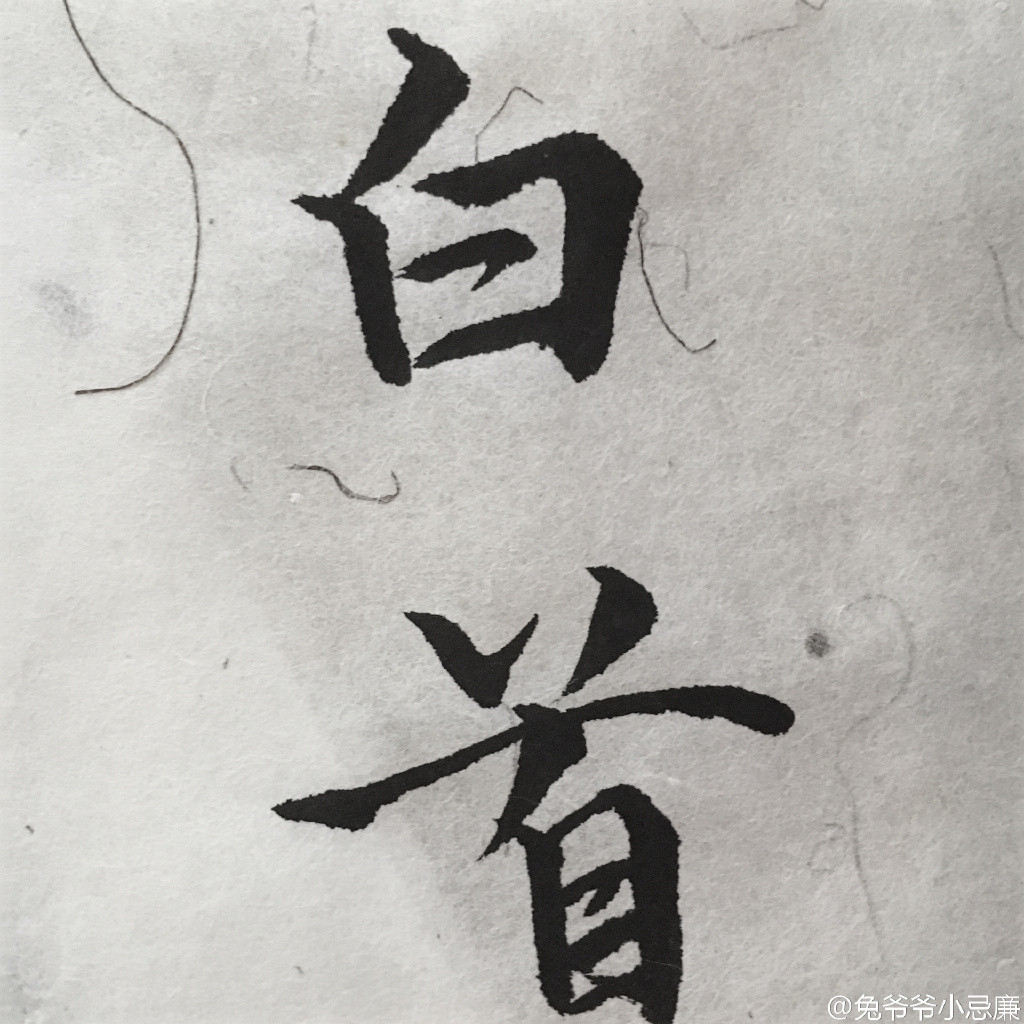 習慣有妮的图片