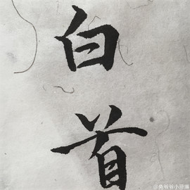 習慣有妮主播照片