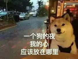 💓暂时离开主播照片