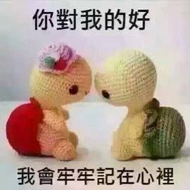 孤单蓝瘦香菇主播照片