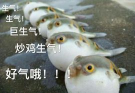 吴刀刀Knife主播照片