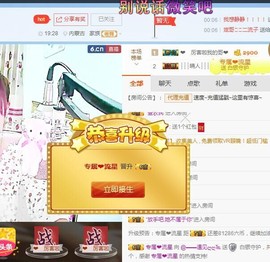 一只雁~主播照片