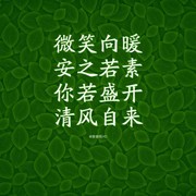 飞纺c