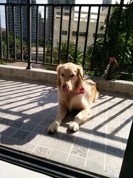 快乐一生😃主播照片