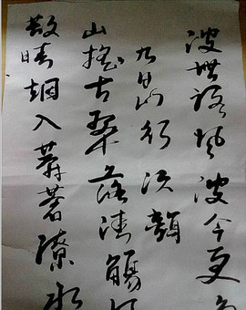 海南水果玩具百货批发主播照片