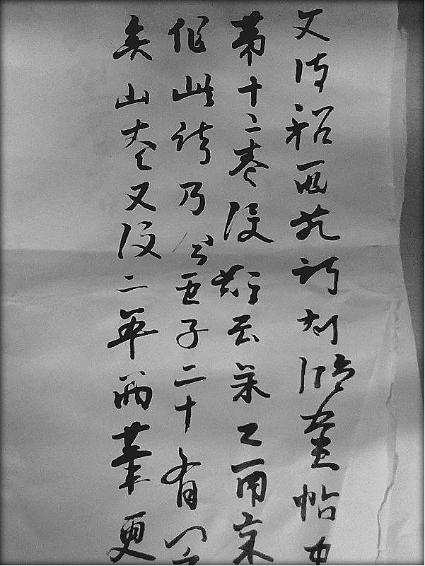 海南水果玩具百货批发的主播照片