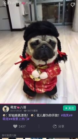 ✨媳婦⭐求🌙帶走✨主播照片