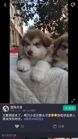 ✨媳婦⭐求🌙帶走✨主播照片