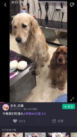 ✨媳婦⭐求🌙帶走✨主播照片