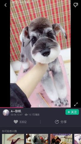 ✨媳婦⭐求🌙帶走✨主播照片
