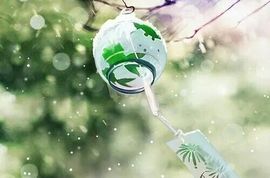 ❤️┛尊上┗万年老六主播照片