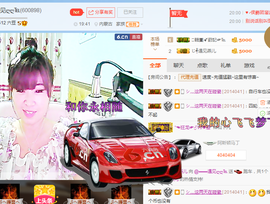 一只雁~主播照片