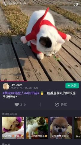 ✨媳婦⭐求🌙帶走✨主播照片
