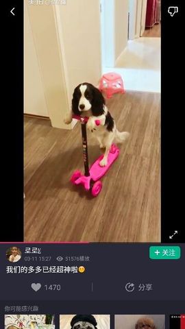 ✨媳婦⭐求🌙帶走✨主播照片