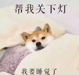 ∠※相惜主播照片