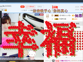 一只雁~主播照片