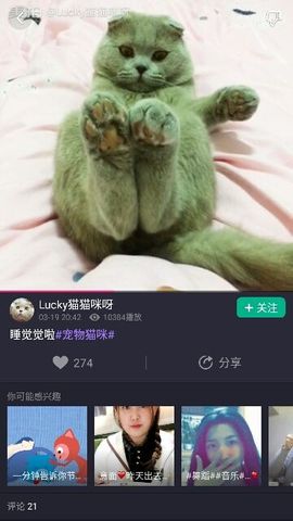 ✨媳婦⭐求🌙帶走✨主播照片