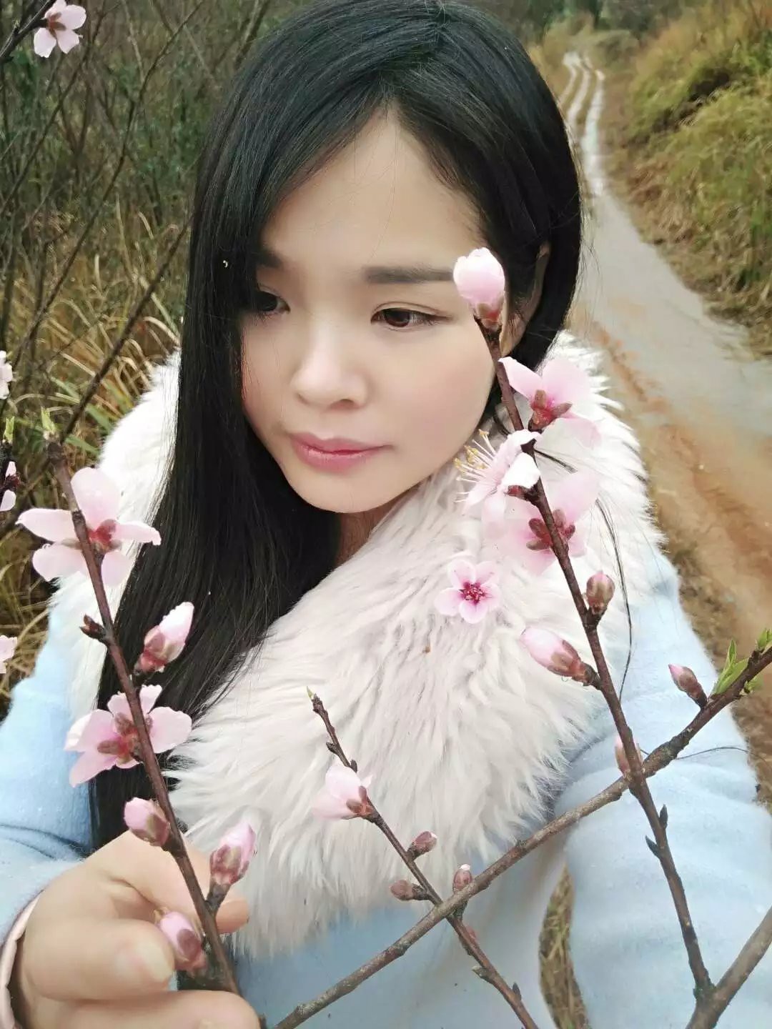恐龙路线的图片