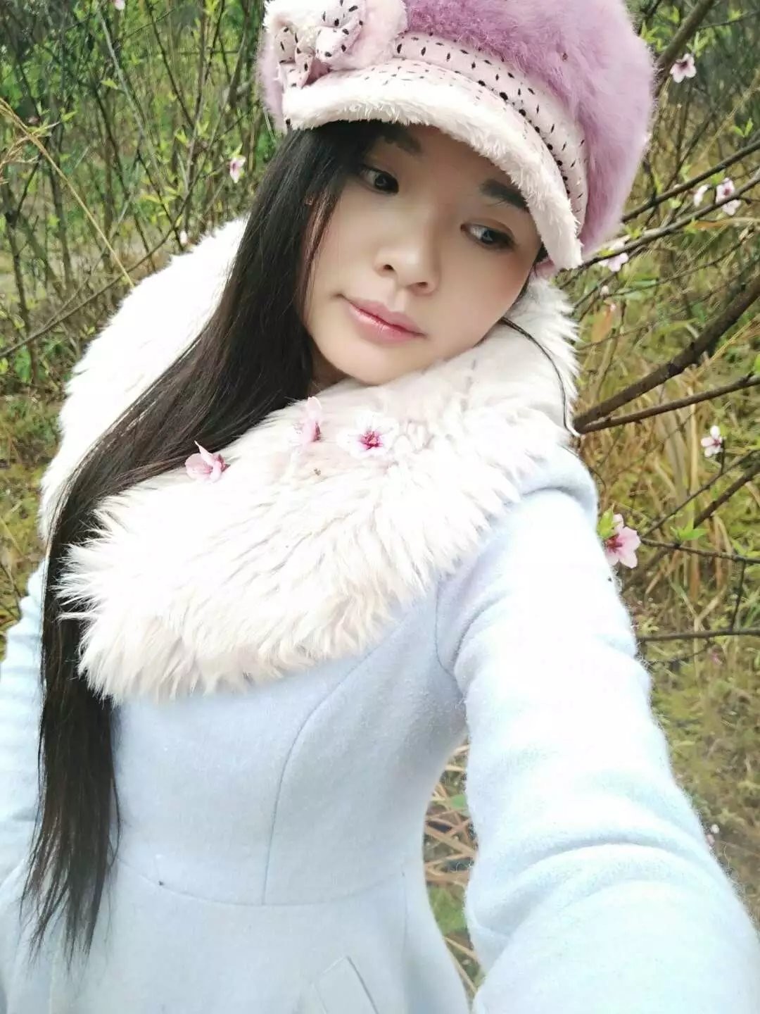 恐龙路线的图片