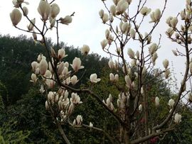 YE，浮沉主播照片