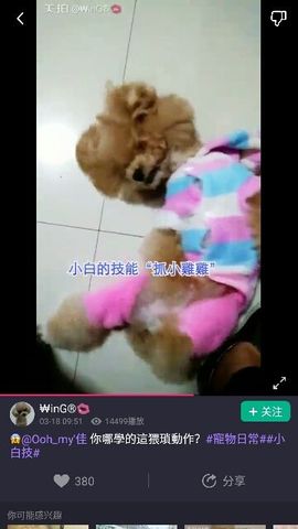 ✨媳婦⭐求🌙帶走✨主播照片