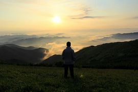 飞_来_峰主播照片