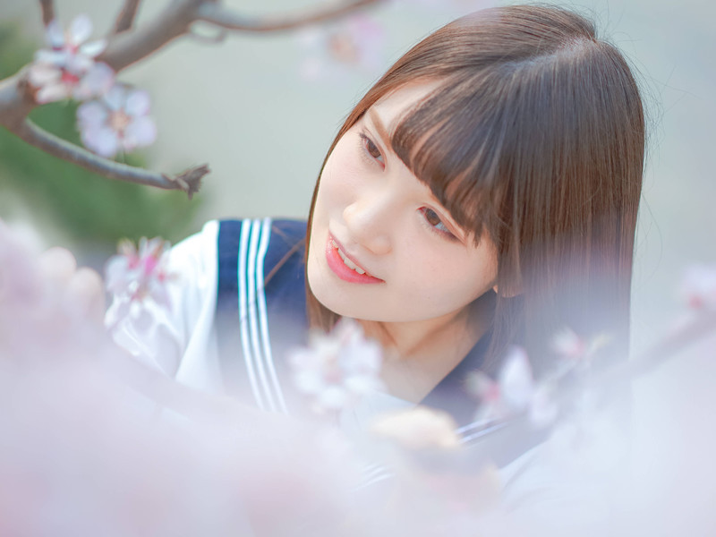 陈天真🌸等守护的主播海报