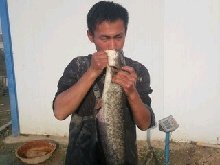 平安r*的主播照片