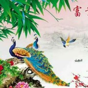 秦予n