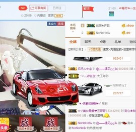 一只雁~主播照片