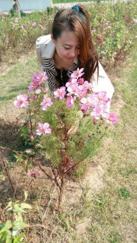 ✿在水一✿芳✿的图片