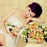 樱花边的梧桐树的头像