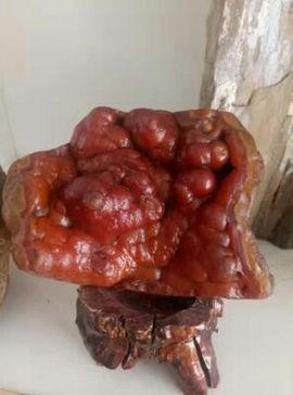 爱玛瑙爱唱歌主播照片