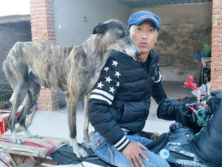 2019一切順心的主播照片
