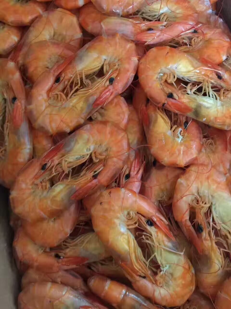 网事如烟......的主播照片