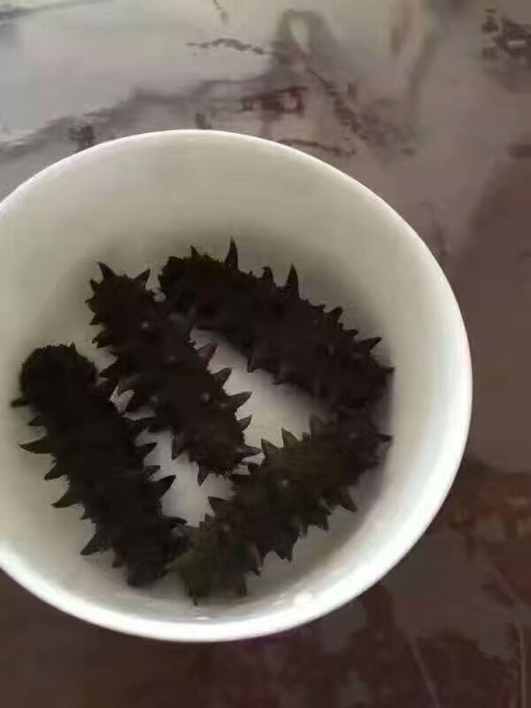 网事如烟......的主播照片